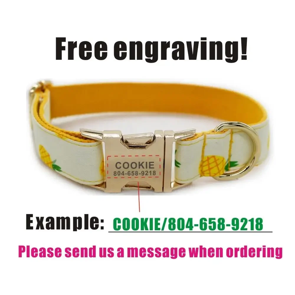 Collare Regolabile In Nylon Con Guinzaglio Per Animali