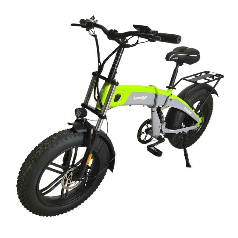20 inch snow electric bicycle high power dual motor