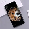 4444