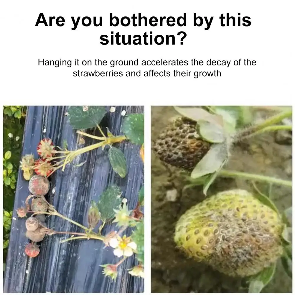 Durable Plastic Strawberry Cradle Garden Strawberry Protector Strawberry Cradle Support Trellis Planter Insert for Strawberries