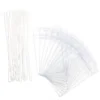 10 Pcs Transparent Luggage Tag Suitcase Tags Sleeve Cruise Ship Essentials Pvc Clear Badge Holder Boarding Pass Travel Id 4