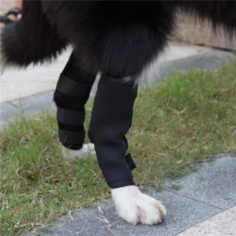 1Pair Pet Protectors Dog Support Brace For Leg Protectors Instep Leg Thai Boxing Pet pet leg protector