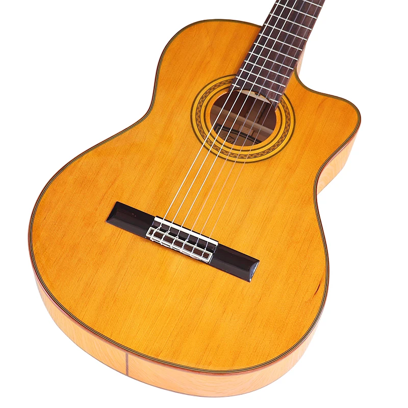 アコースティックギター スプルーストップ 6弦 アコギのトップ材 シトカ・スプルース編｜無射