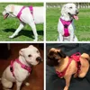 Pet Dog Harness Reflective Adjustable Breathable Vest Chest Strap for Small Medium Large Dogs Cat Puppy Collar Dog Accessoires 4