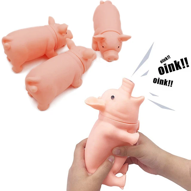 Oink Oink Can Opener  Can opener, Pet pigs, Oink