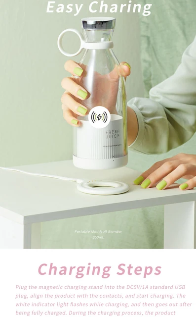 Portable Mini Blender 350ml – Delight Supply