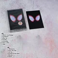 Spider 1
