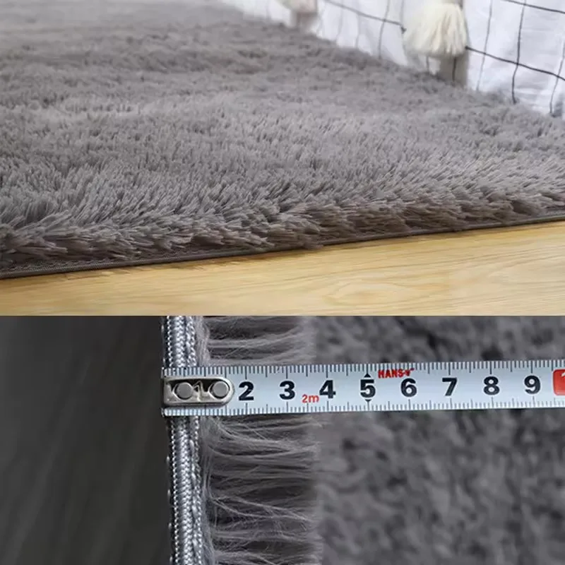 Thick Fluffy Plush Carpet 1