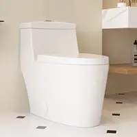 Elongated One-Piece Toilet Dual Flushing Toilet with 17" ADA Comfortable Chair Seat 0.8/1.28 GPF High-Efficiency Modern Toilet 1