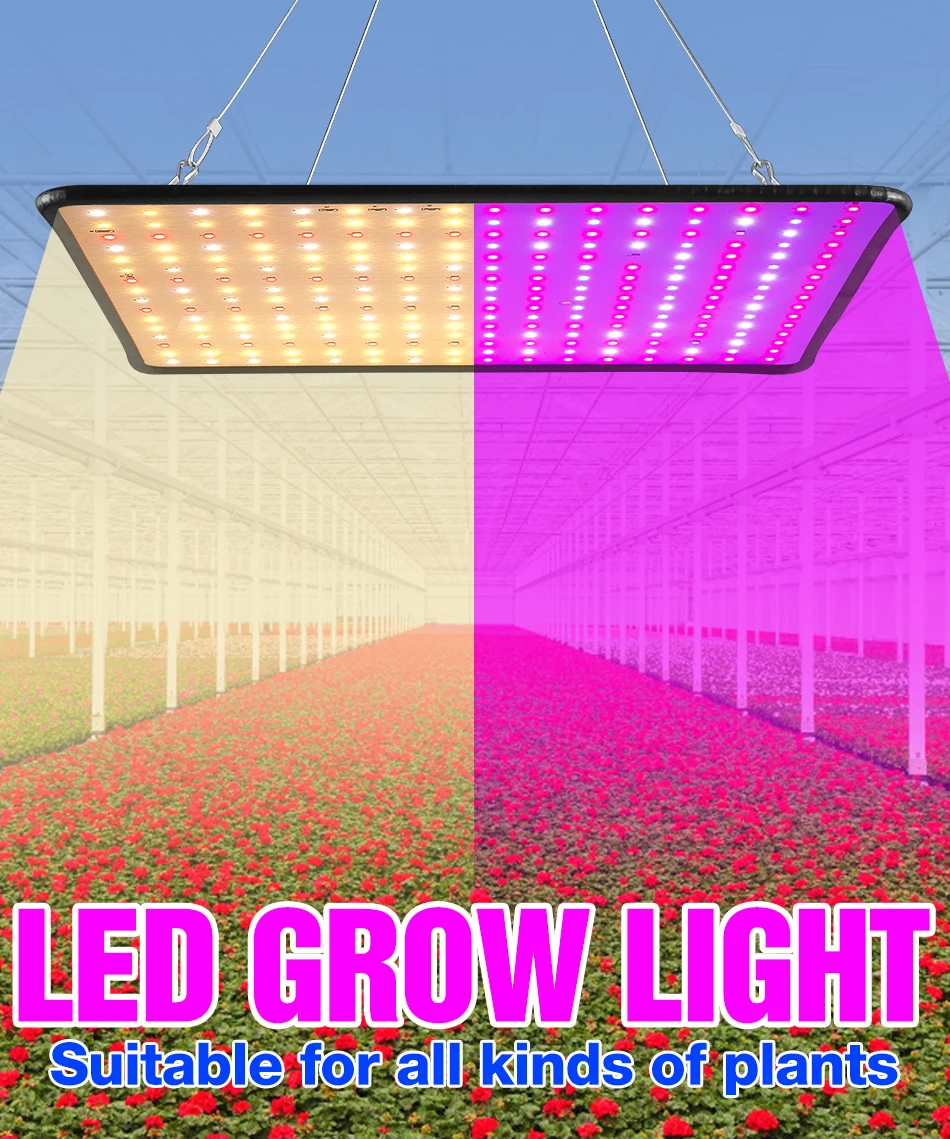 Description Picture 2 of item100W LED Plant Grow Light Full Spectrum Quantum Board Flower Seed Indoor Hydroponic Greenhouse Vegetable Cultivation Growth Lamp