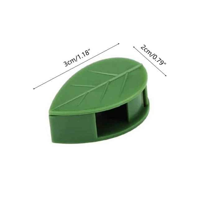 10 db Növényi Hegymászó Fali Klip Láthatatlan Szőlőfal Ragacsos Horgos Növény Támogatja A Szőlő Klipjét - Image 6