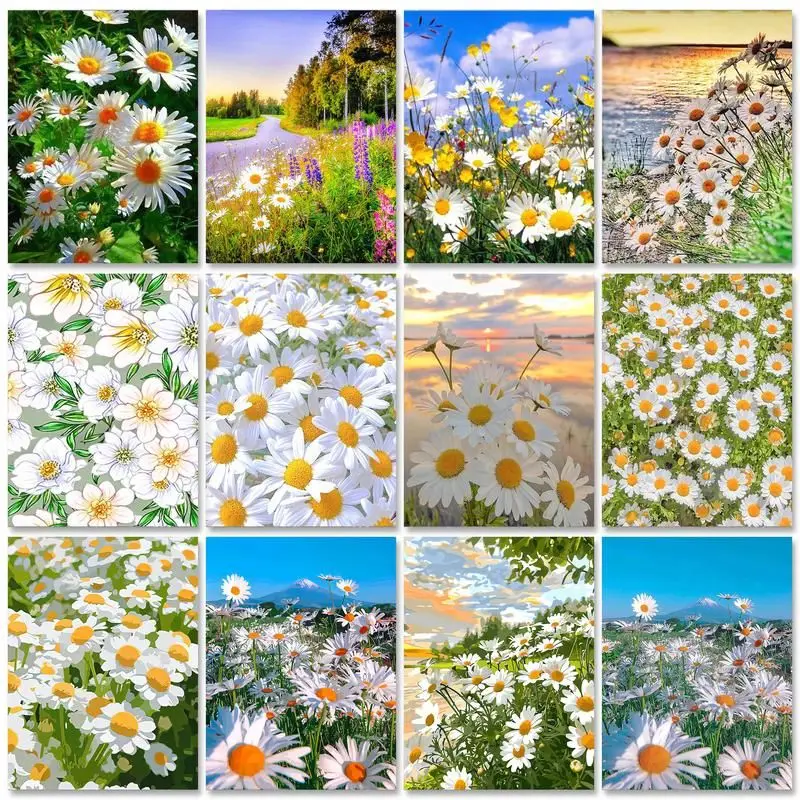 

RUOPOTY Acrylic Paint Painting By Numbers With Frame Handicraft Daisy Fowers Drawing Coloring By Number For Diy Gift 60x75cm