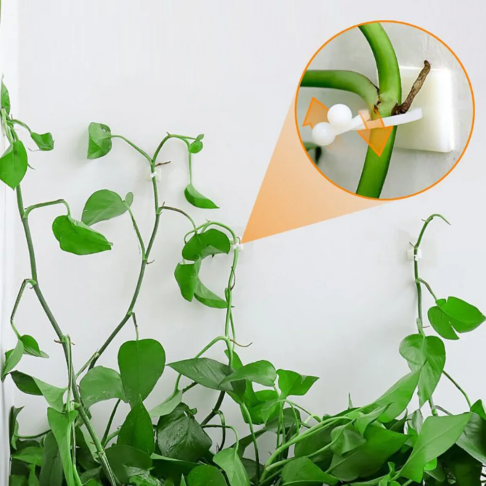 

Plant Climbing Wall Self-Adhesive Fixed Buckle Hook Fastener Tied Fixture Vine Buckle Hook Garden Plant Wall Climbing Vine Clips