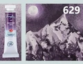 629 Violet Shadows
