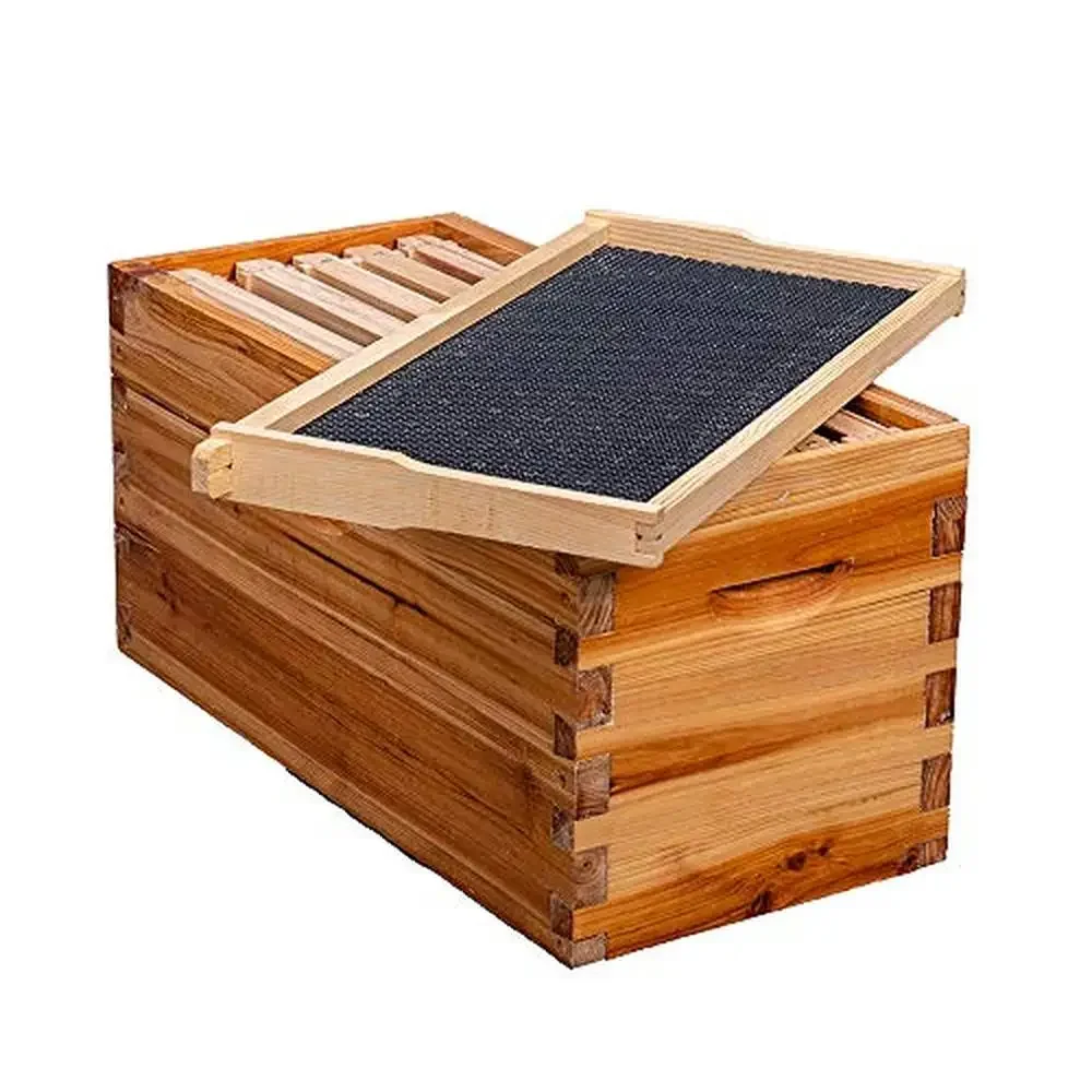 5-Frame Complete Bee Hive Kit with Dovetail Joints & Vented Boards Metal Roof Wooden Frames & Wax Foundations Langstroth Hive