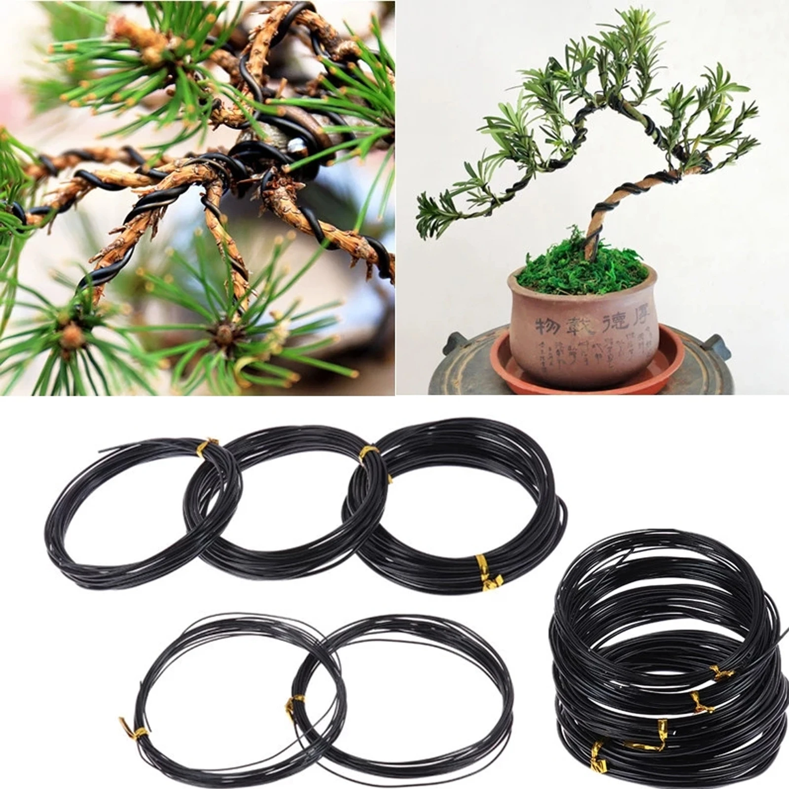 5m Black Bonsai Wire Anodized Aluminum Bonsai Training Wire 5 Sizes 1