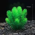 CO54 Green