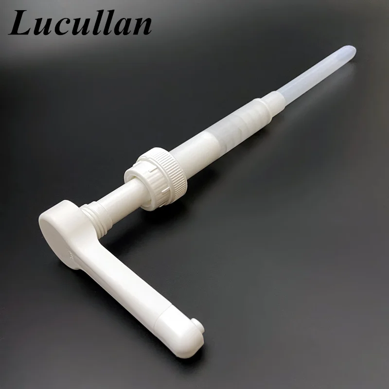 Lucullan ڵ    漭, öƽ    , ü  Ű 
