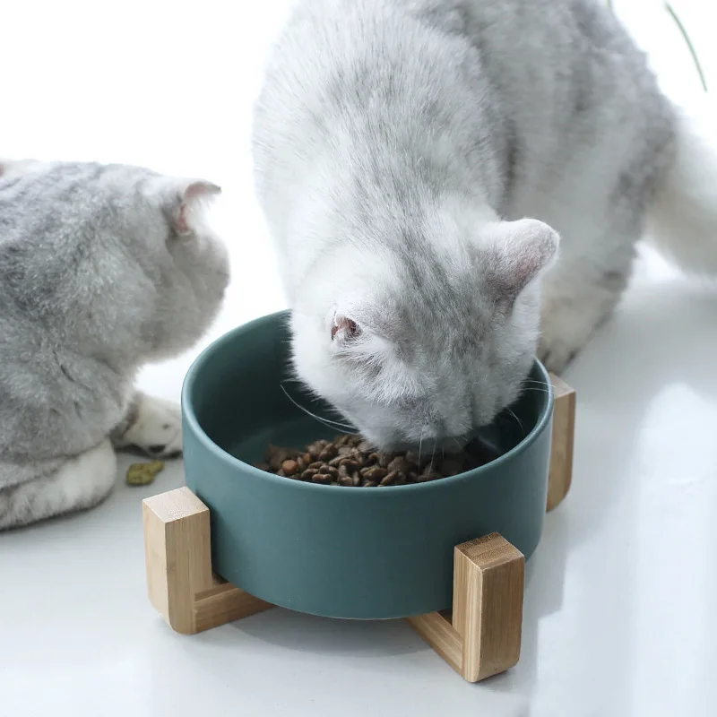 

Cat bowl ceramic dog cat food bowl water feeder pet bowl with stand wood pet supplies