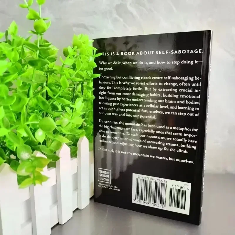 The Mountain Is You: Transforming Self-Sabotage Into Self-mastery 3