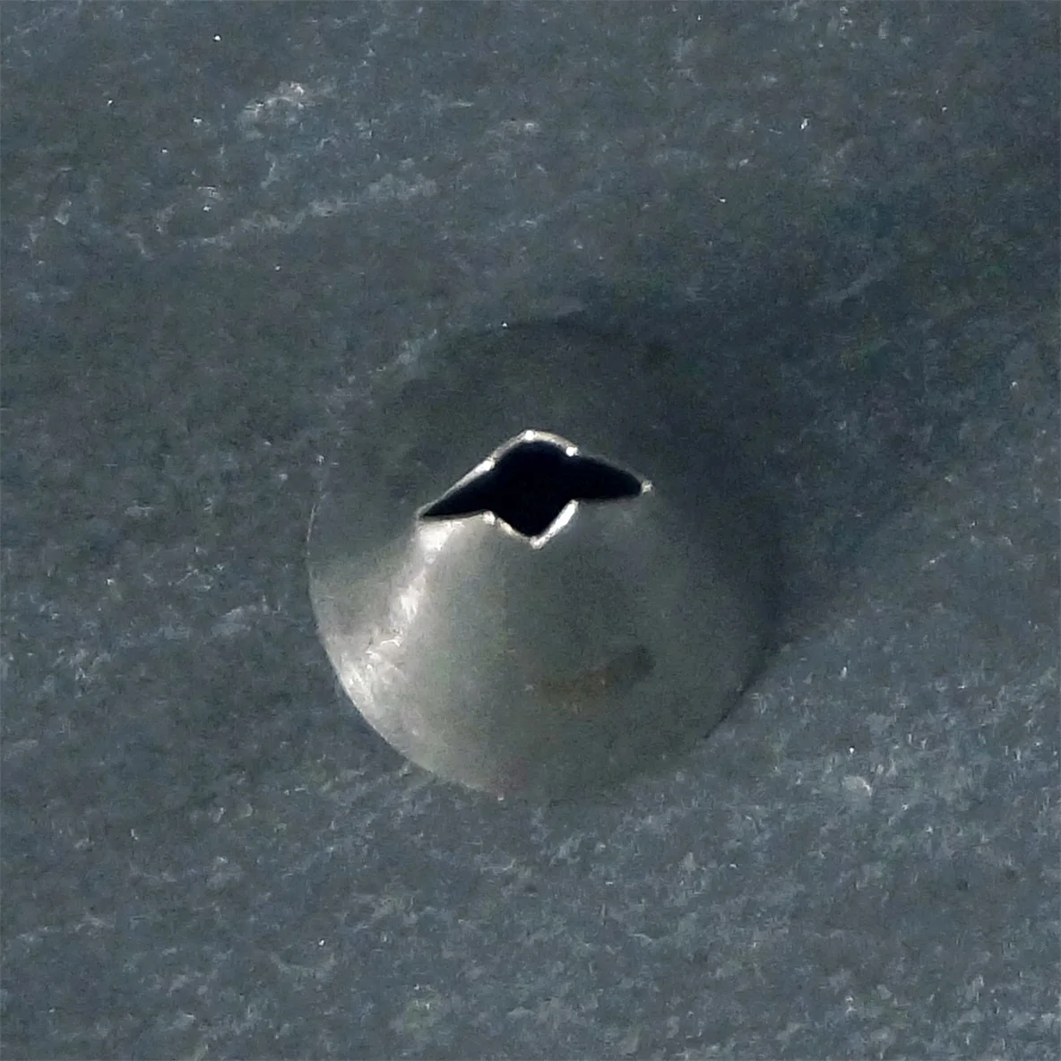 thumb
