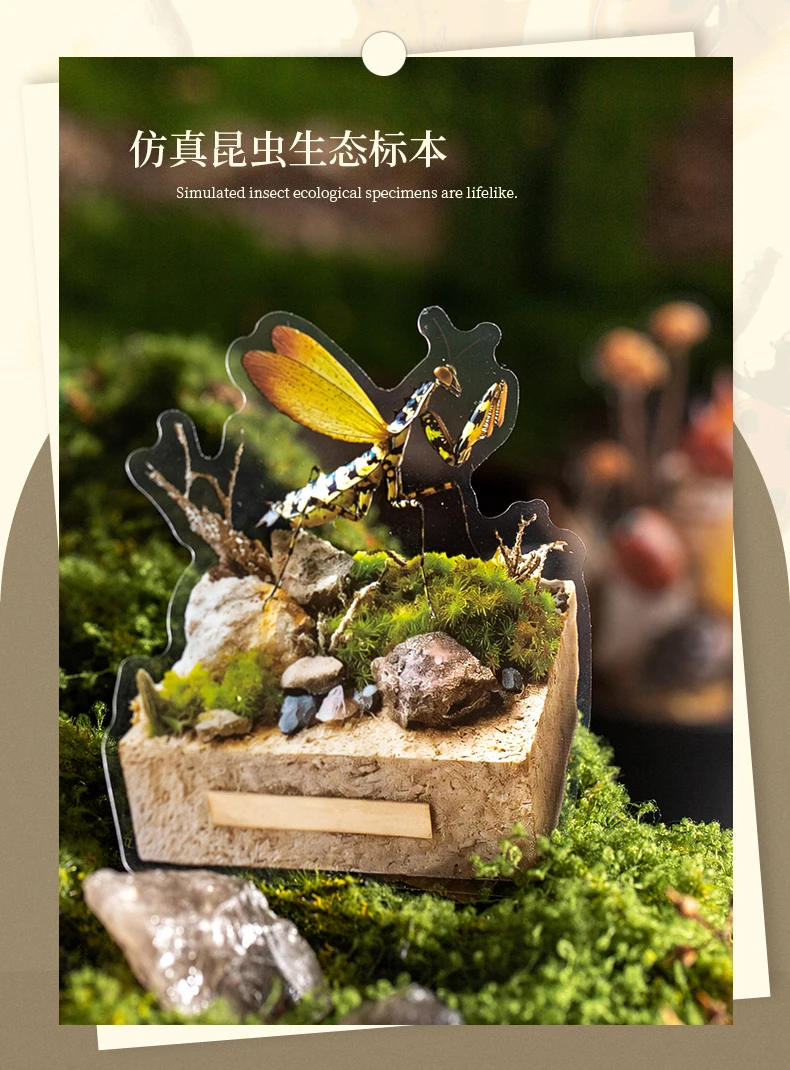 30 Stück große PET-Aufkleberbeutel mit Insekten- und Ökologie-Motiven für DIY-Scrapbooks, Handbücher und ästhetische Schreibwaren. – Detail 7