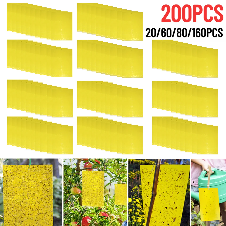 TRAPPOLE ADESIVE CROMOTROPICHE GIALLE 10 PZ GRANDI KOLLANT