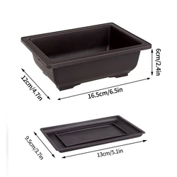 Elegant Rectangular Purple Clay Look Flowerpot for Outdoor Garden and Bonsai Display (Rectangle - Swith tray)