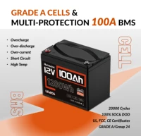 Batterie LiFePO4 Humsienk 12V 100Ah avec BMS 100A intégré, 8000 cycles, pour camping-car/moteur de pêche à la traîne/voiturette de golf/camping/garantie de 2 ans/UL 1973 7
