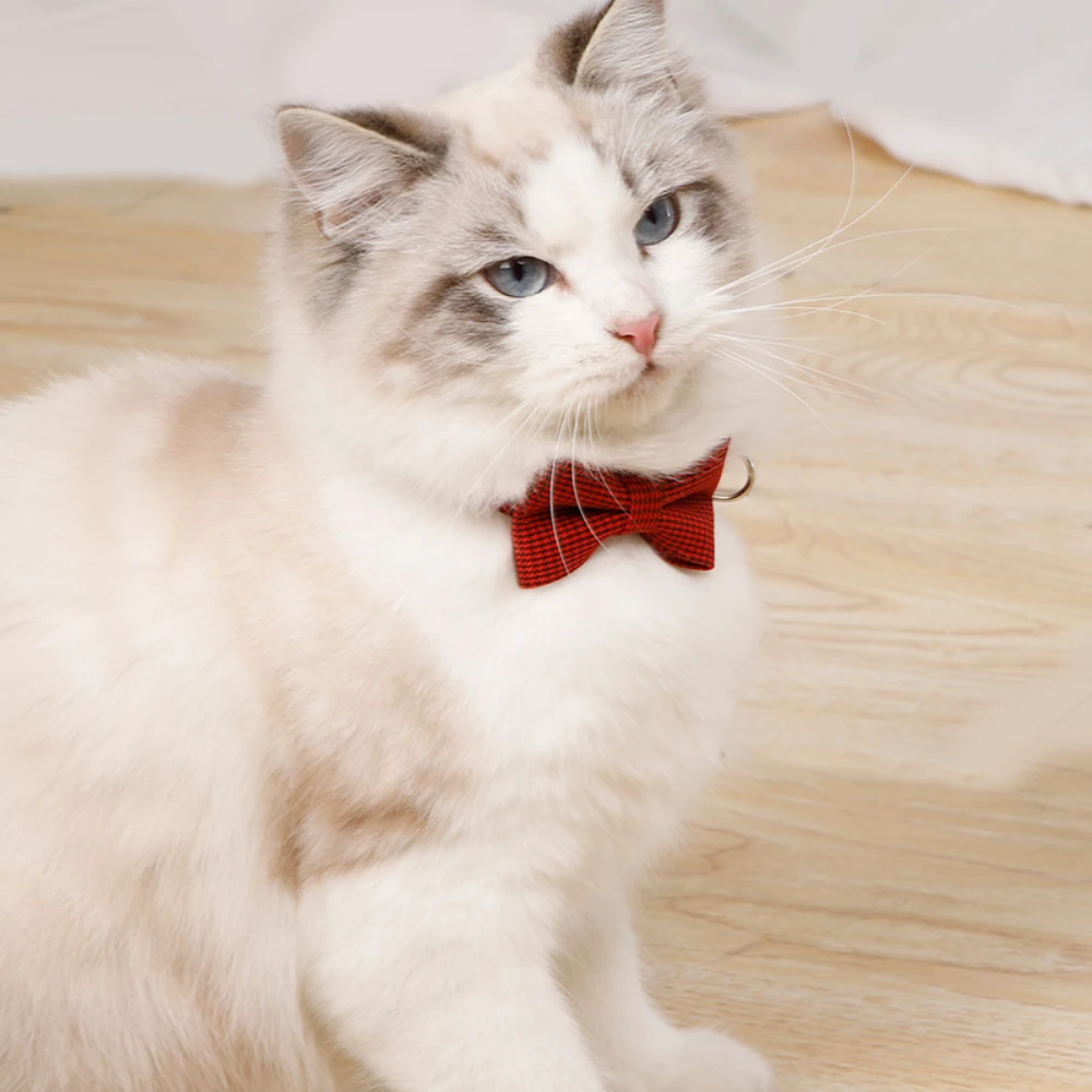Title 11, Cat Collar Adjustable Cat Necklace Buckle Colla...