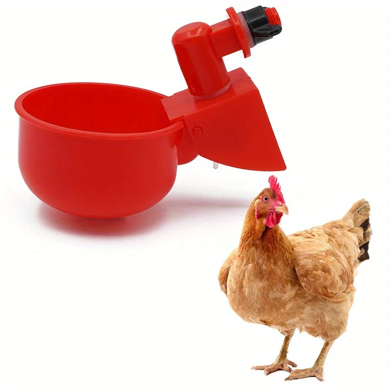 Poultry Water Dispenser 5