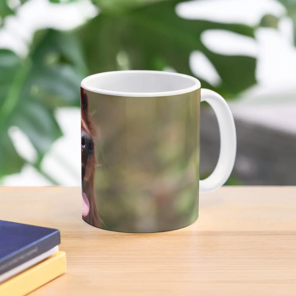 

Irish Setter I Coffee Mug Cups Of Thermo Cups To Carry Mug