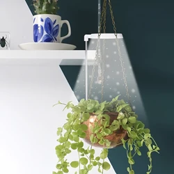 Enhanced Indoor Full Spectrum LED Plant Grow Light with Height Adjustment and Automatic Timer (LH - ZWD - 002WH)