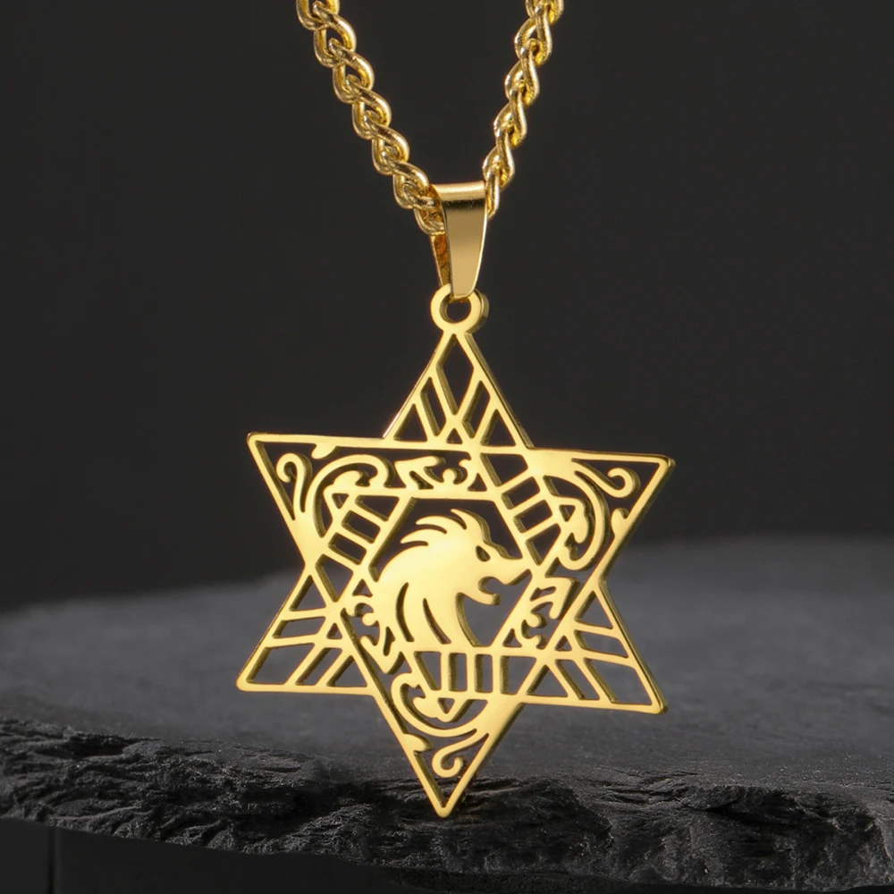 Dawapara Löwe von Juda Anhänger Halskette Magen Davidstern Jüdischer Stern Hexagramm Halskette Edelstahl Schutz Amulett