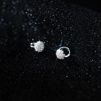 REETI 925 Sterling Silver Earrings Zircon Snow  Styles Earring Creative Hot Sexy Jewelry for Women Gift Customized Women Jewelry