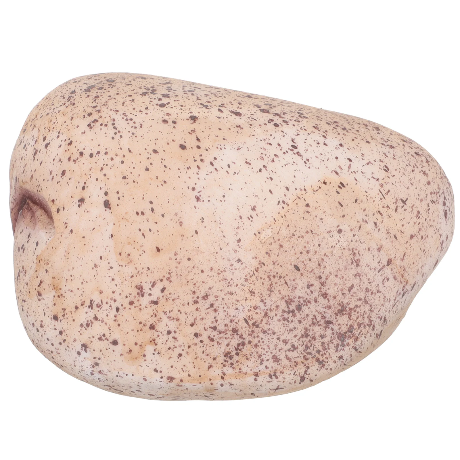 

Hide A Spare Key Fake Rock Weatherproof Safe Storage Box Safe Looks Feels Like Real Stone Rock Key Holder Hidden Key Saving