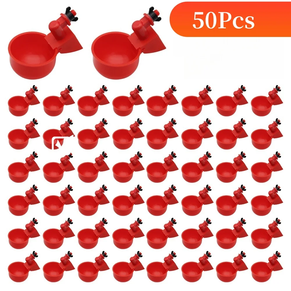 50Pcs