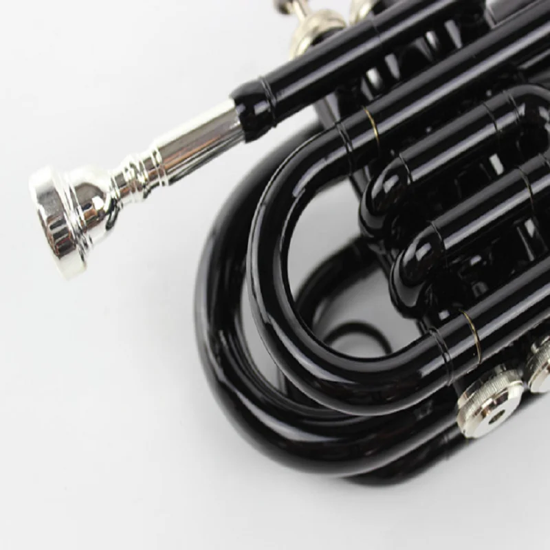 Beginner Western Wind Instrument, B Flat Pocket, Black Palm Instrument