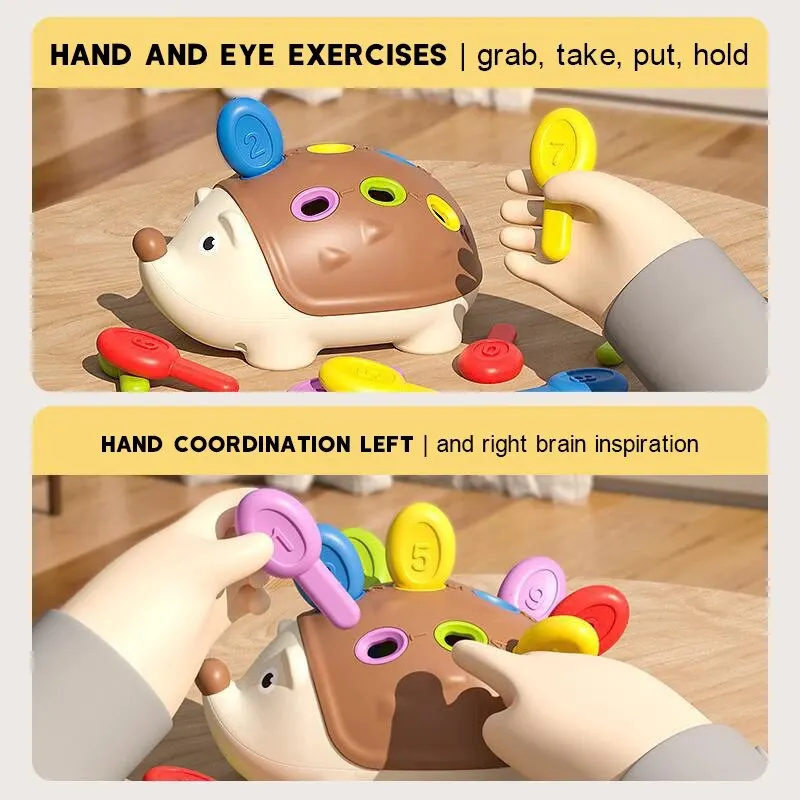 Educational Toys Montessori Fine Motor Toys For Toddlers 1-3 Hedgehog Learning Counting & Sorting Development Sensory Gifts