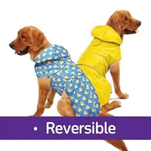 Dog rain coat