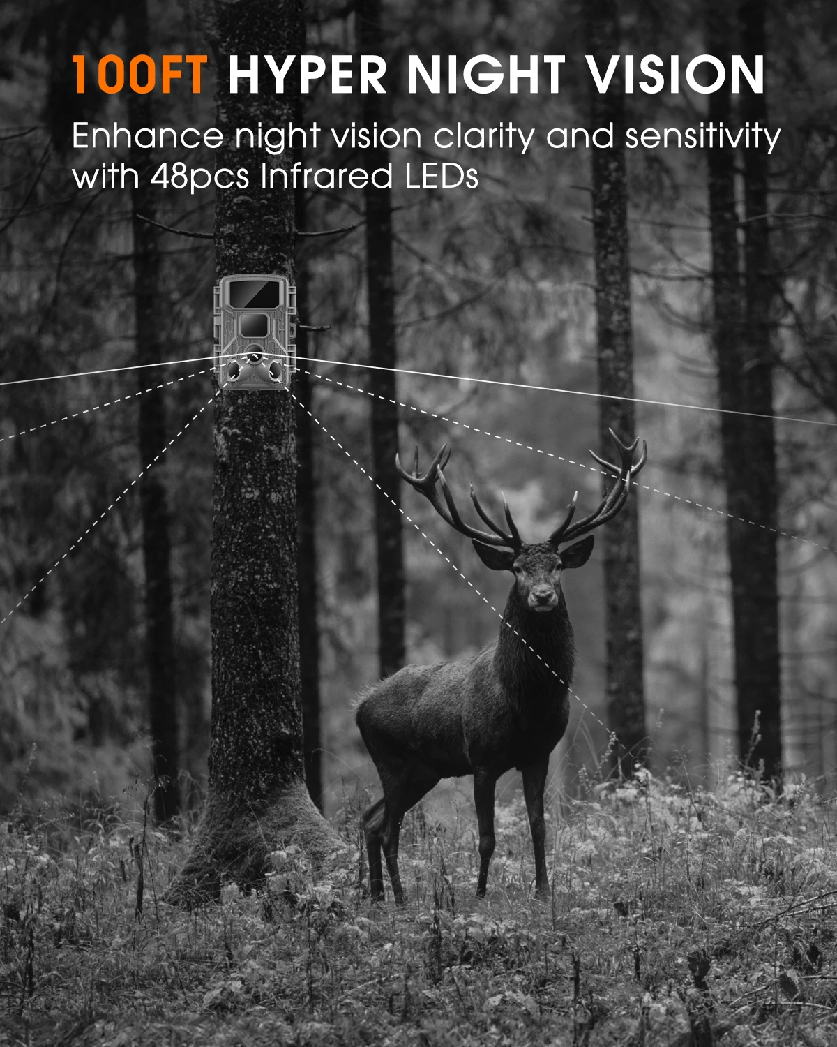 Trail Camera WiFi 2.7K 48MP Night Vision IP67 Waterproof 0.5s Trigger Speed for Outdoor Wildlife Detection Monitoring Game Cam 5