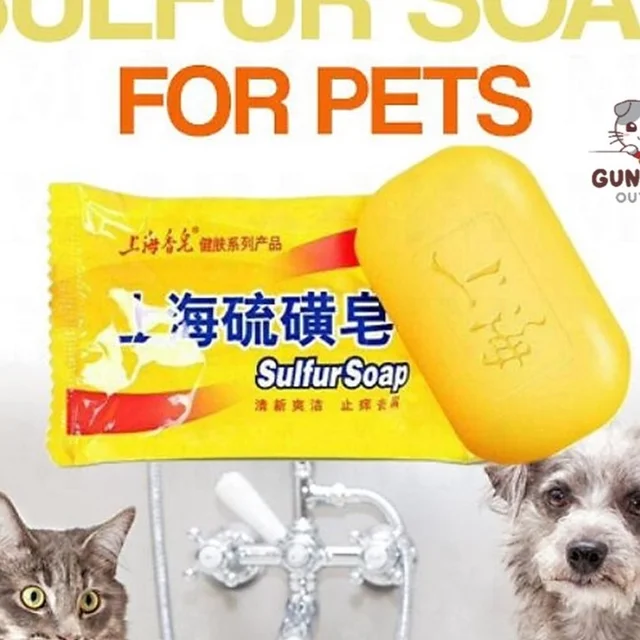 adams plus flea and tick shampoo