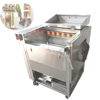 High Performance Automatic Potato Peeling Machine Cleaning Machine 2