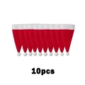 10pcs