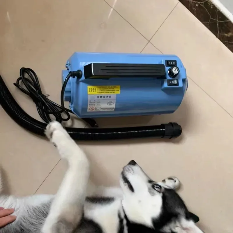High Power Quick Drying Professional Dog Hair Dryer Adjustment Hot Cold Brush Air Blow Dryer Dog Supplies Household