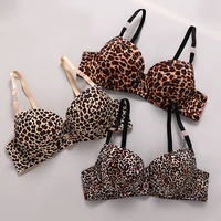 DaiNaFang Two Piece Lace Bra Sets For Women Leopard Print Beautiful Design Underwear Rhinestone Female Lingerie