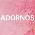 ADORNOS Wonderful Store