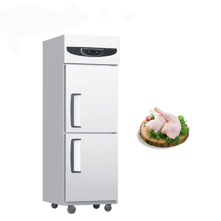 Commercial Vertical Kitchen Double Door Refrigerator Refrigeration Equipment