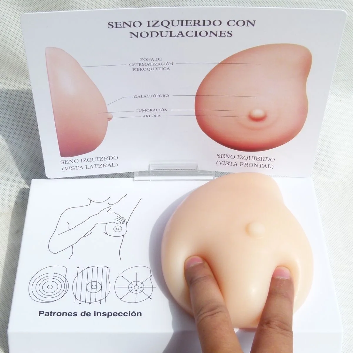 Breast Self-Exam Training Model 4