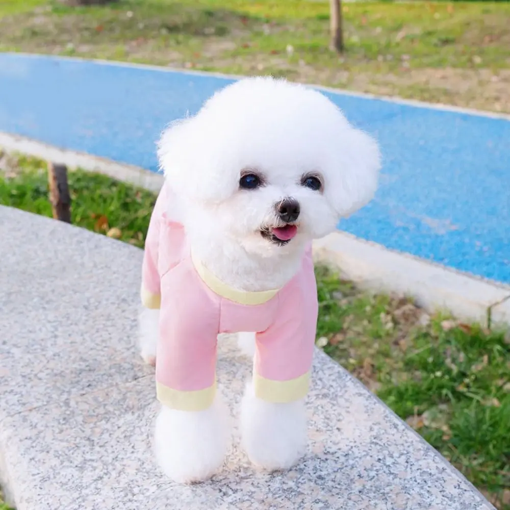 애완용품 곤충 방지 강아지 네발 팬츠 통기성 좋은 시원한 강아지 먼지 방지 팬츠 세련된 애완견 옷 봄
